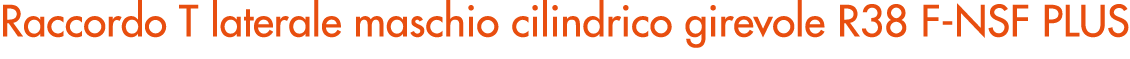 Raccordo T laterale maschio cilindrico girevole R38 F NSF PLUS