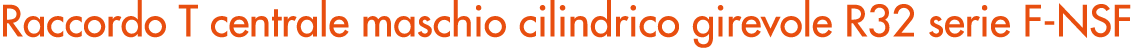 Raccordo T centrale maschio cilindrico girevole R32 serie F NSF